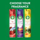 Air Wick Freshner 12x290ml