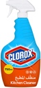 CLOROX Spray Kitchen Cleaner and Sterilizer 750Ml